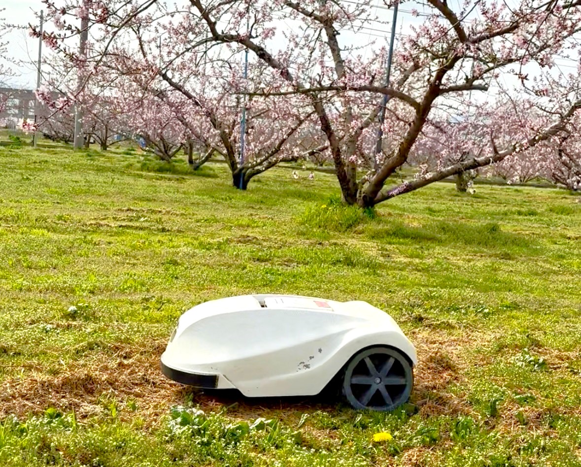 心に寄り添うお付き合い